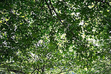 让玩家当“赛博胶佬”的游戏，会点燃机甲的“钢之魂”吗？